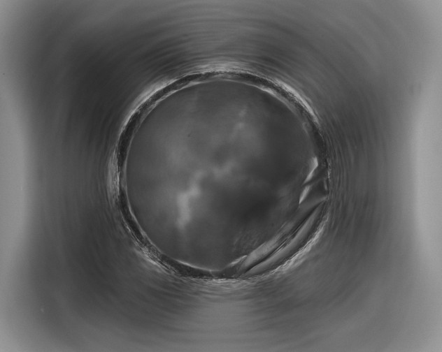 X0000116281117200912071145
