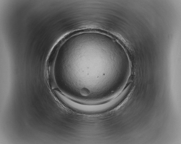 X0000116281118200912071145