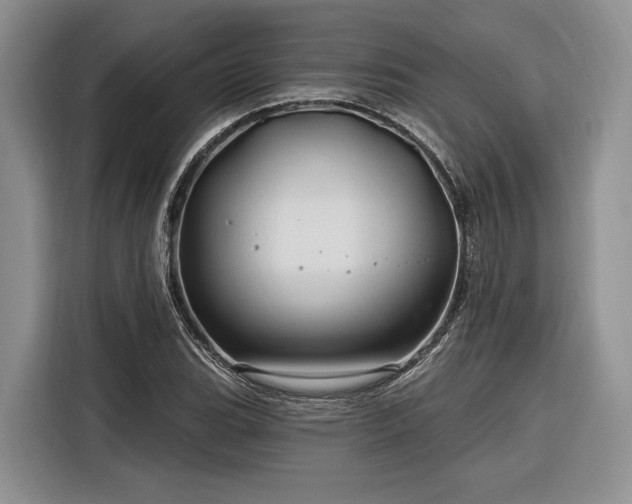 X0000116281119200912071145
