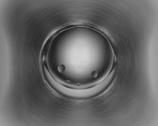 X0000116281122200912071145