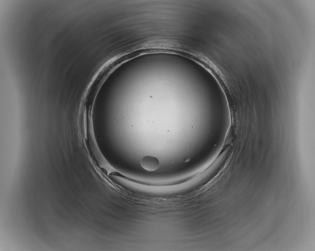 X0000116281123200912071145