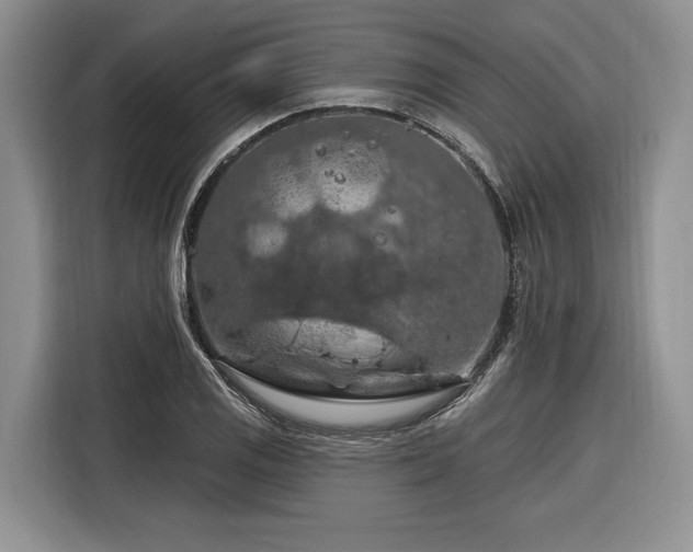 X0000116281125200912071145