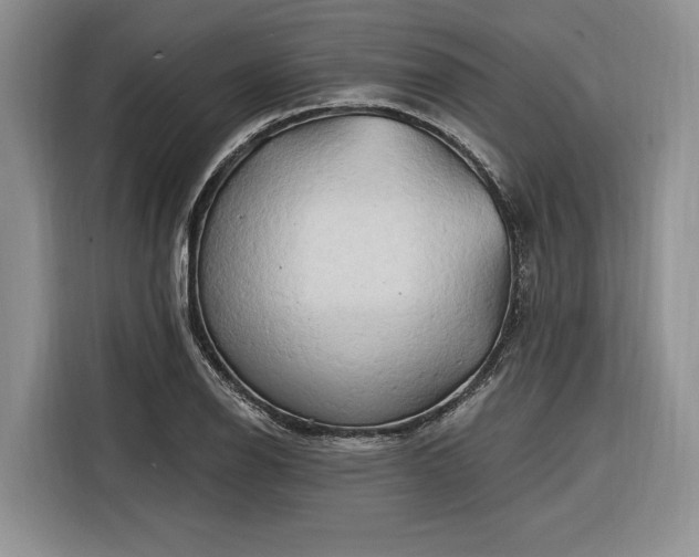 X0000116281126200912071145