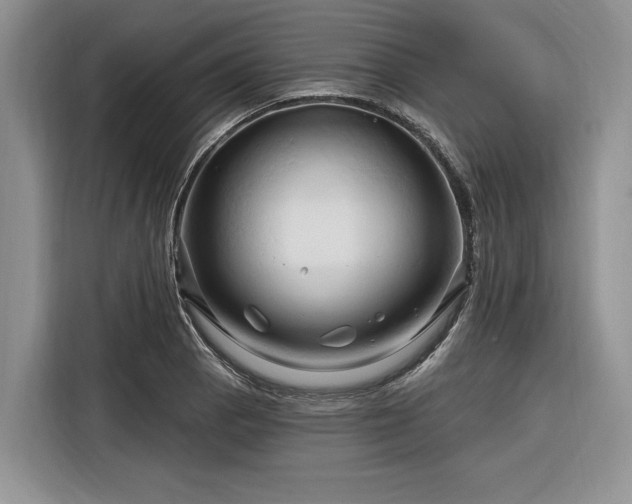 X0000116281129200912071145