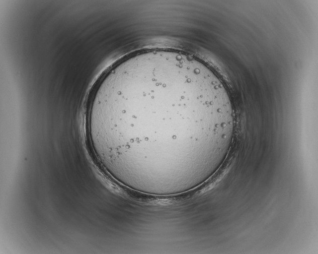 X0000116281130200912071145