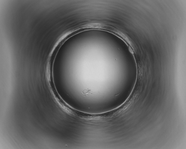 X0000116281131200912071145