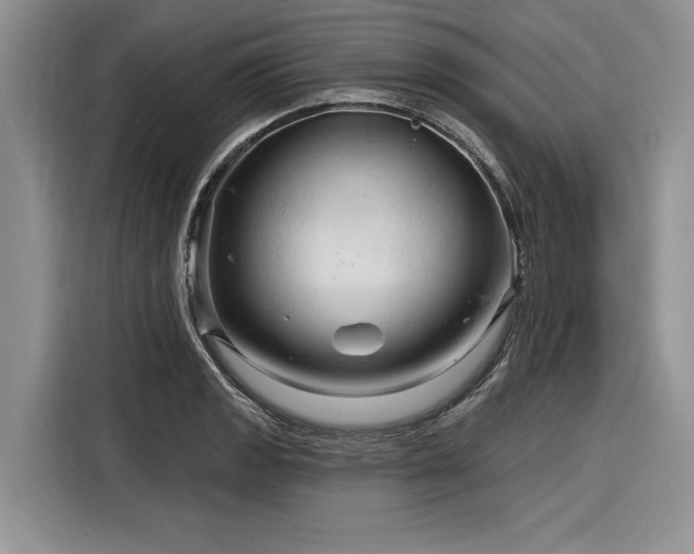 X0000116281133200912071145
