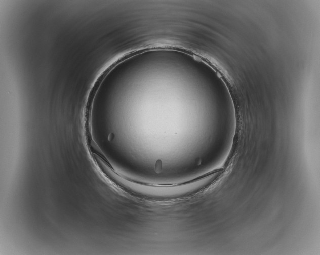 X0000116281134200912071145