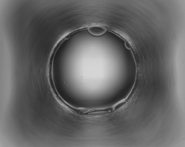 X0000116281135200912071145