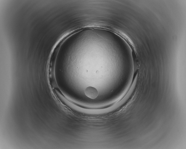X0000116281138200912071145