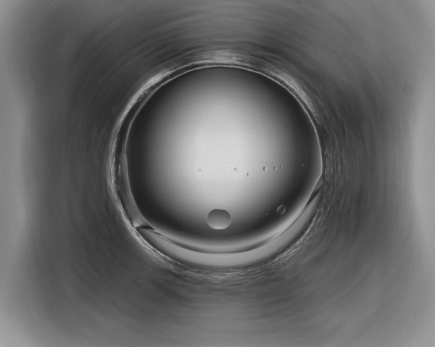 X0000116281139200912071145