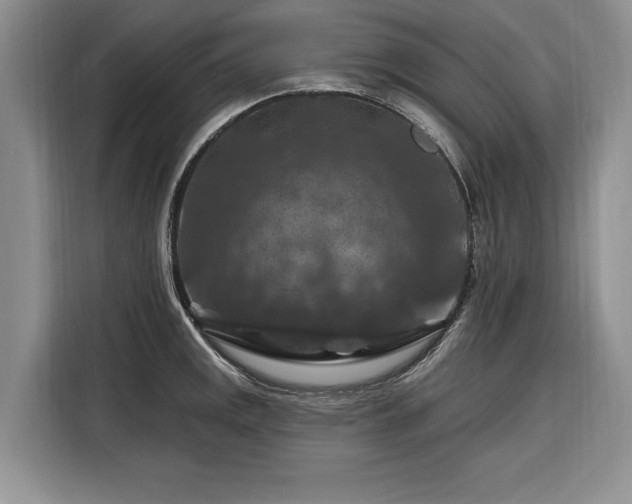 X0000116281141200912071145