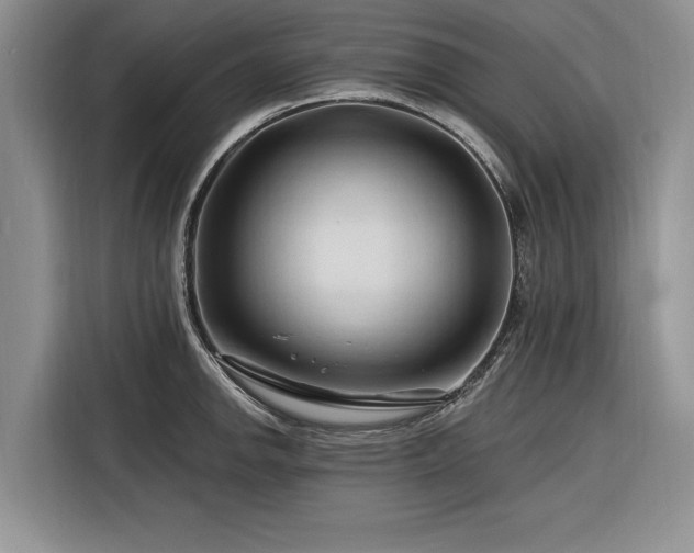 X0000116281142200912071145
