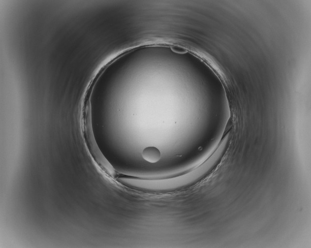 X0000116281143200912071145