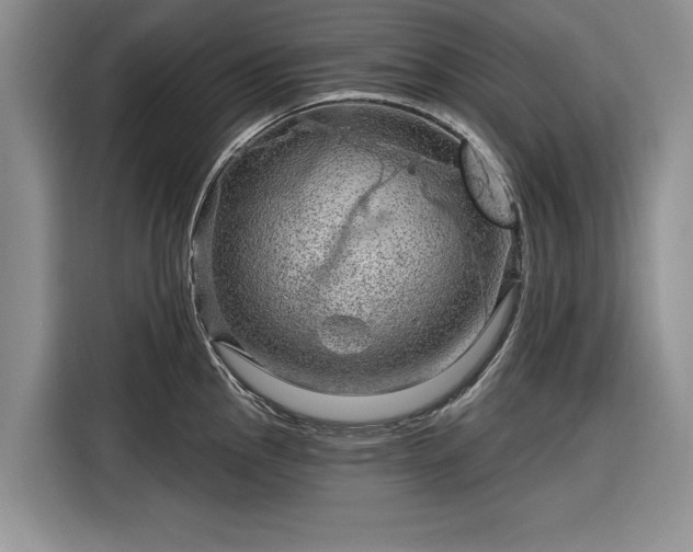 X0000116281145200912071145