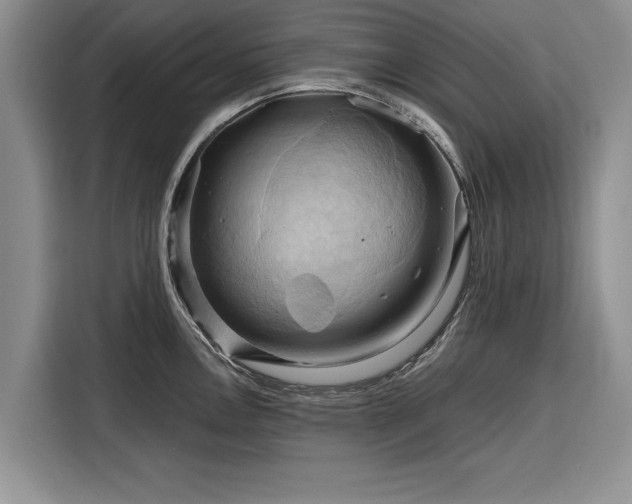 X0000116281146200912071145