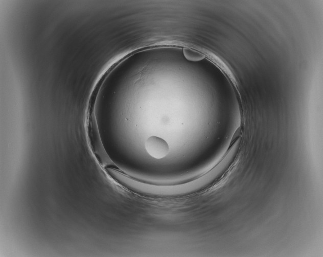 X0000116281149200912071145