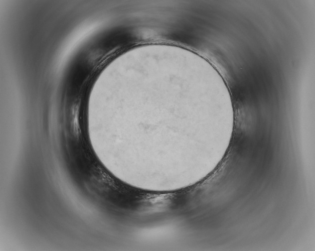 X0000116281150200912071145