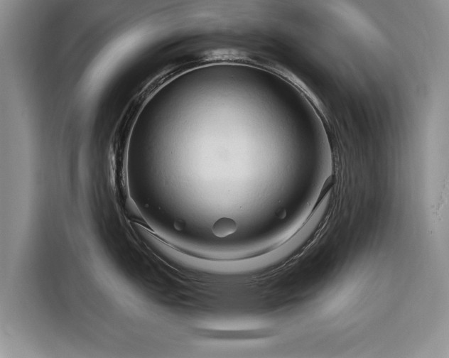 X0000116281151200912071145