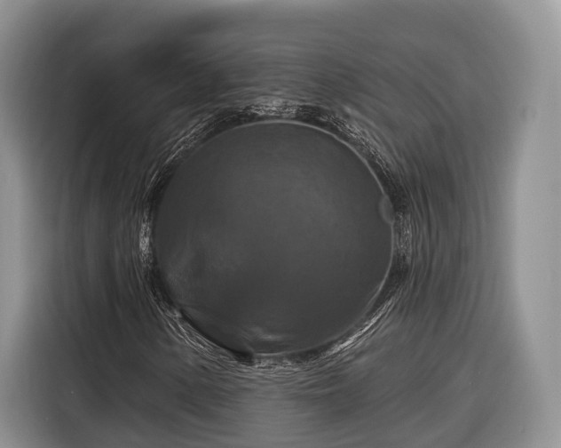 X0000116281154200912071144