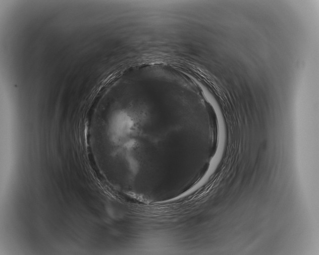 X0000116281155200912071144