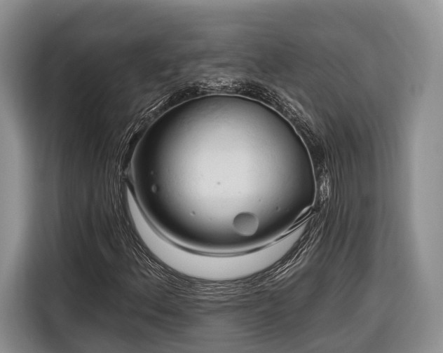 X0000116281156200912071144