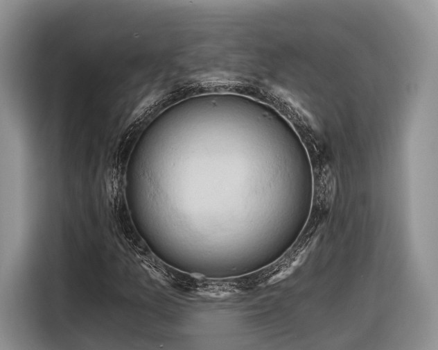X0000116281157200912071144