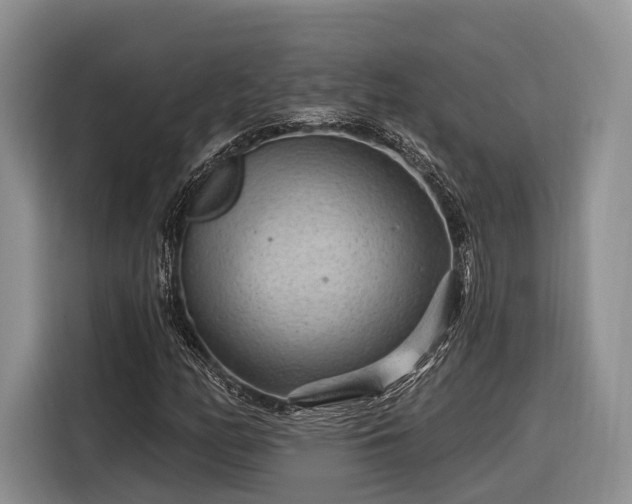 X0000116281158200912071144