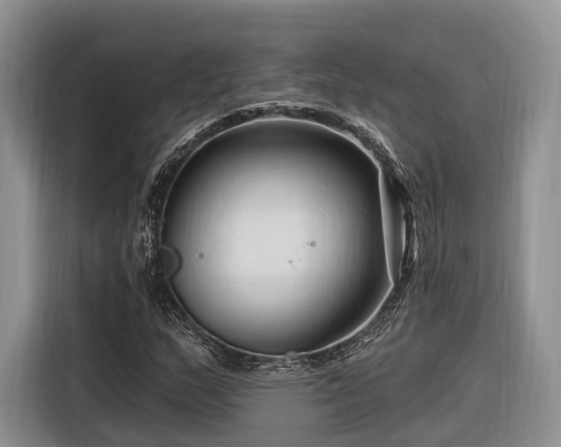 X0000116281159200912071144