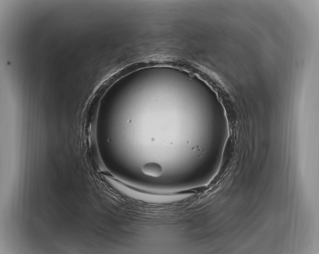 X0000116281160200912071144