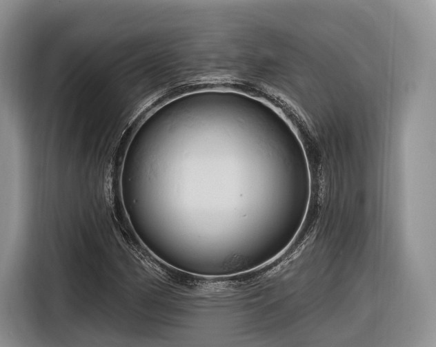 X0000116281162200912071144