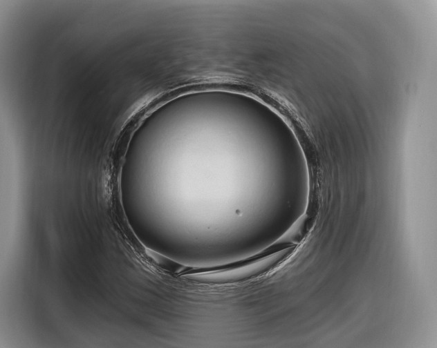 X0000116281163200912071144