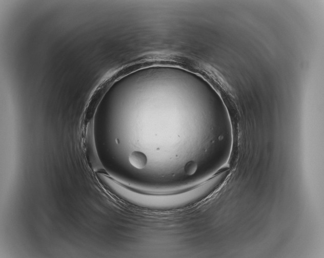 X0000116281164200912071144