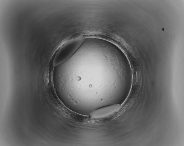 X0000116281165200912071144