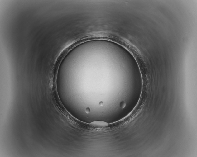 X0000116281166200912071144