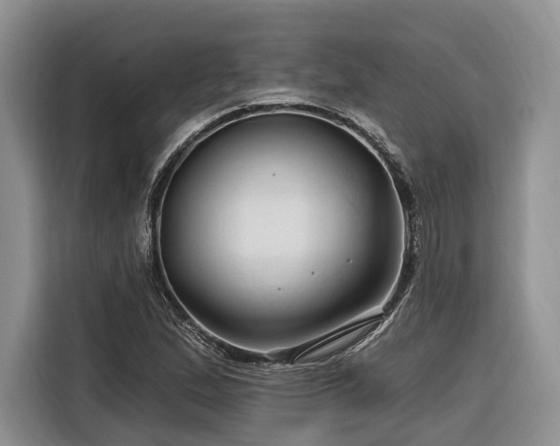 X0000116281167200912071144
