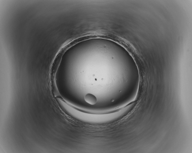 X0000116281168200912071144