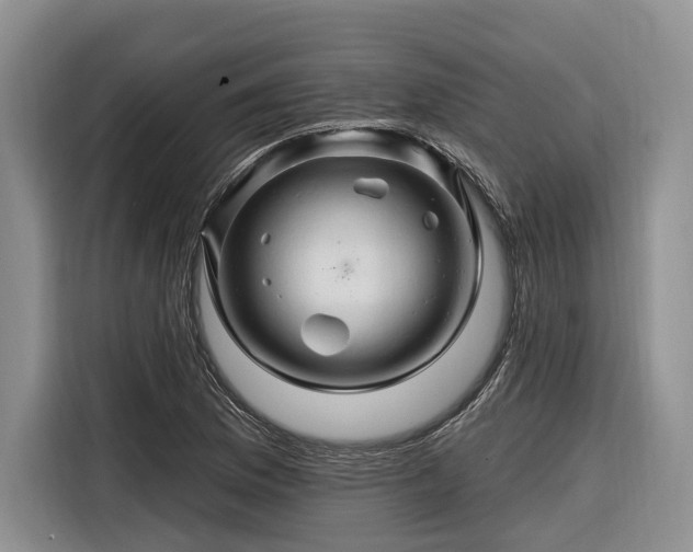 X0000116281169200912071144