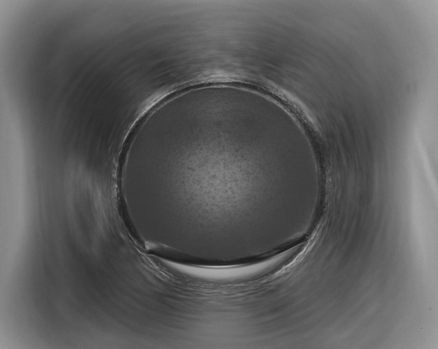 X0000116281170200912071144