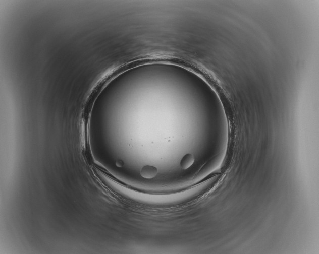 X0000116281171200912071144