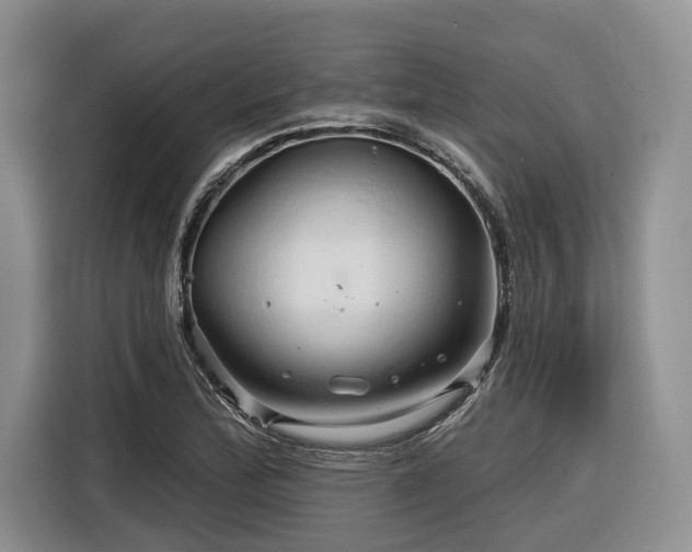 X0000116281172200912071144