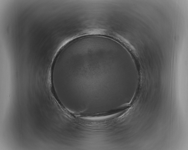 X0000116281174200912071144