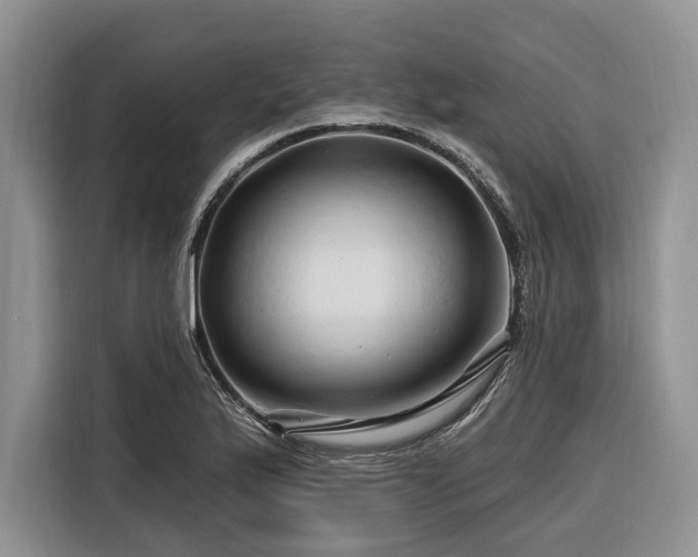 X0000116281175200912071144