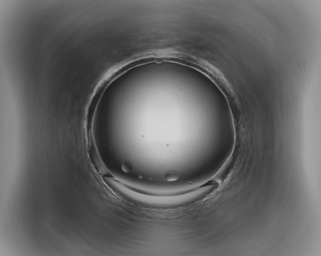 X0000116281176200912071144