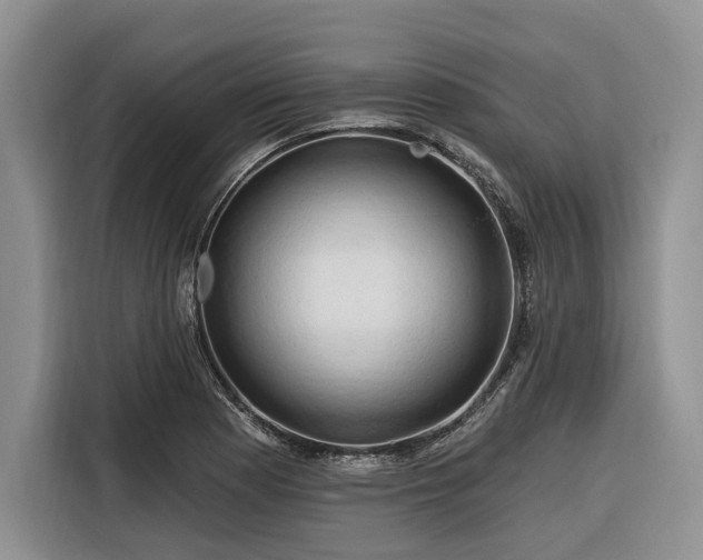 X0000116281177200912071144