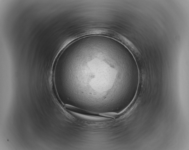 X0000116281178200912071144