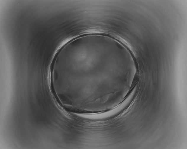 X0000116281179200912071144