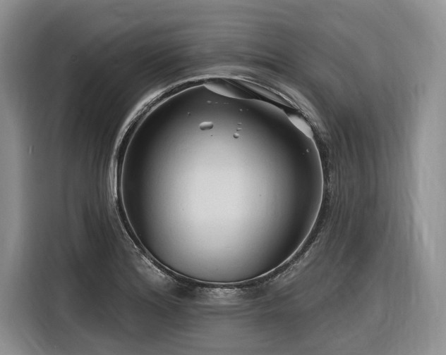 X0000116281180200912071144