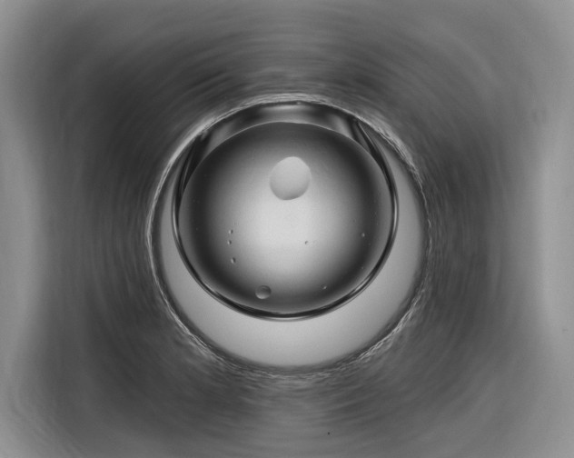 X0000116281181200912071144