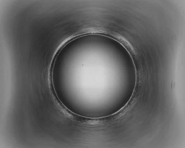 X0000116281182200912071144